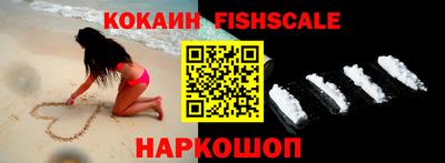 стаф Кинель