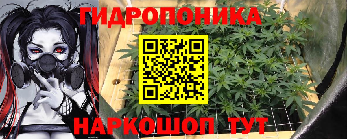 Бошки Шишки VHQ  Вход с VPN  Каннабис сатива  Красноярск  Шишки марихуана ГИДРОПОН  Бошки Шишки гибрид 